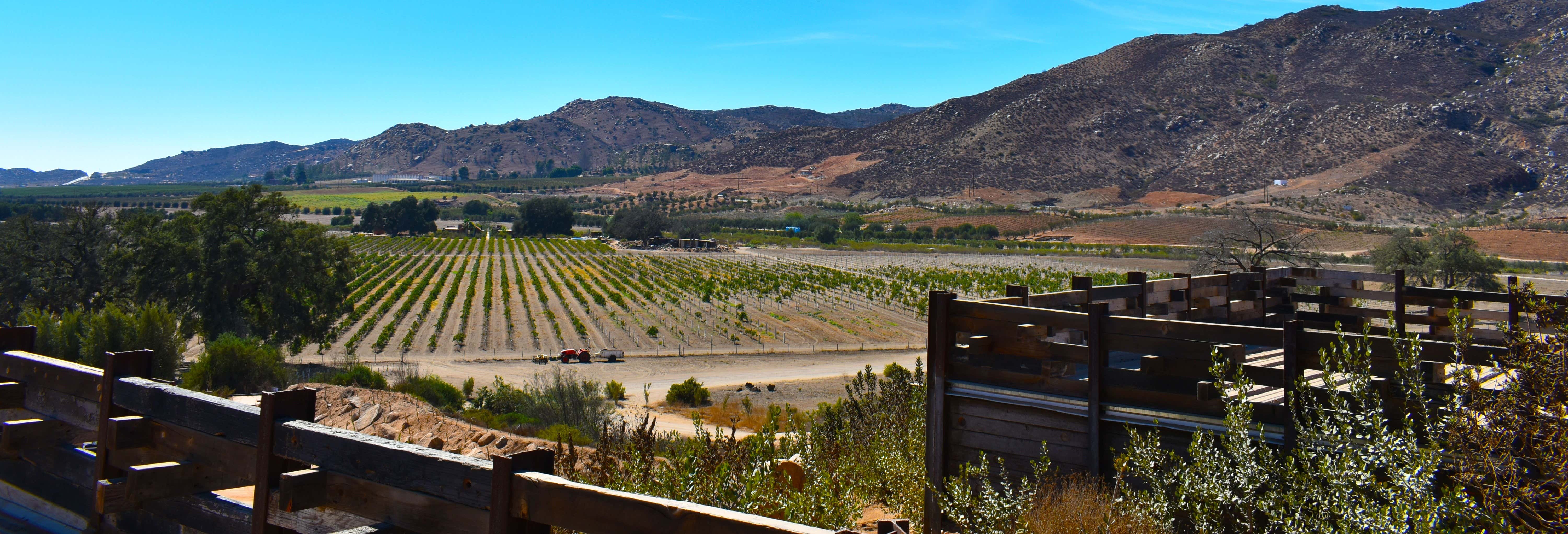 Valle de Guadalupe