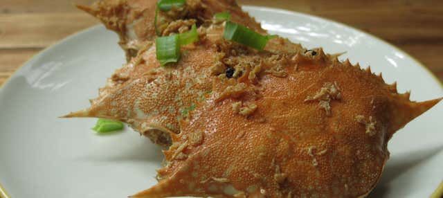 Escursione a Boca del Río 