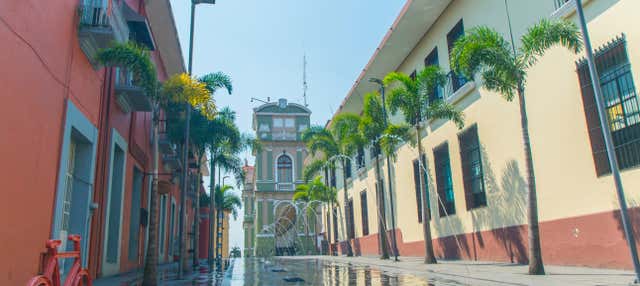 Escursione a Cordoba e Orizaba