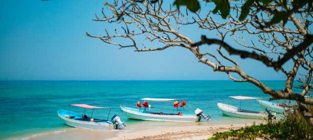 Escursione all'isola di Enmedio