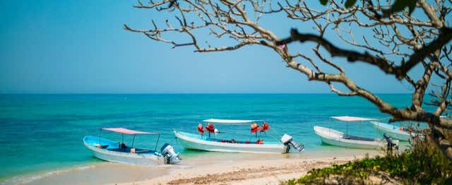 Excursion sur l'île d'Enmedio