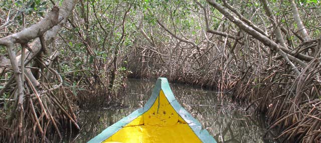 Mandinga Boat Trip