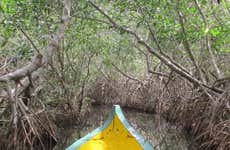 Mandinga Boat Trip