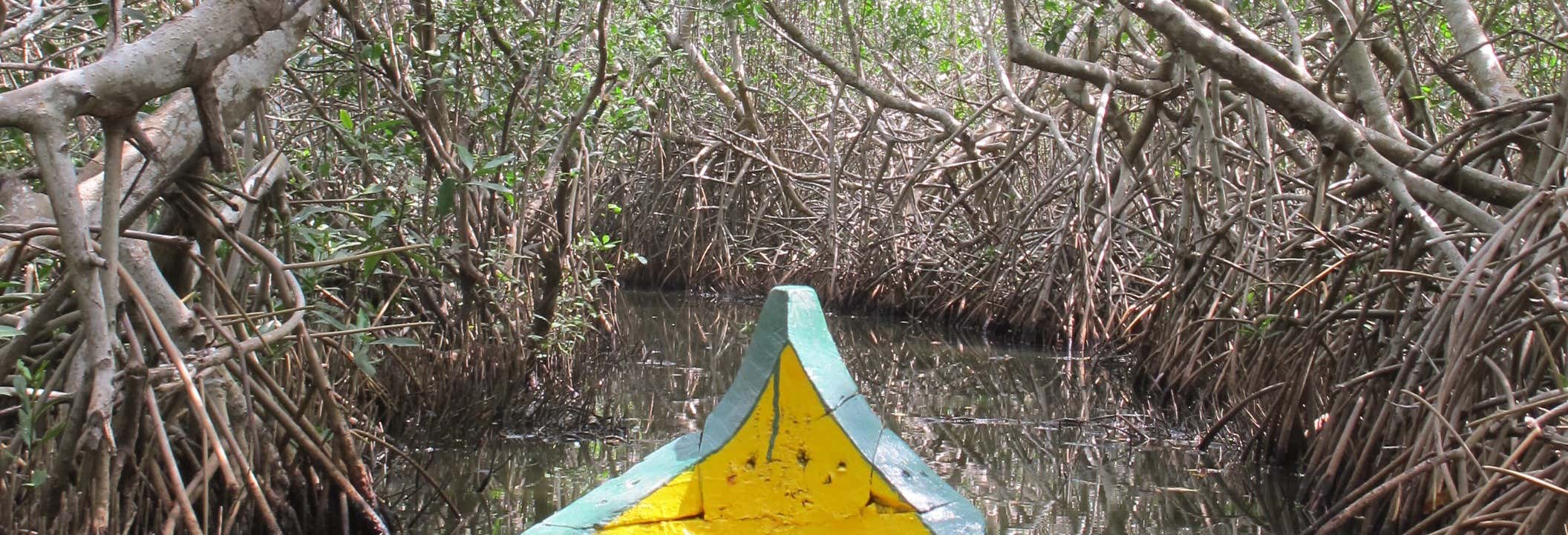 Mandinga Boat Trip