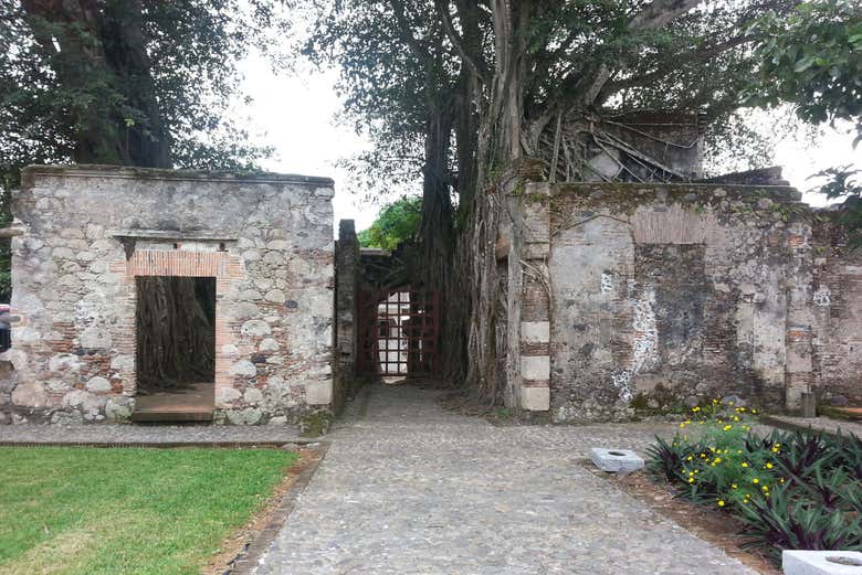 Imagen 7