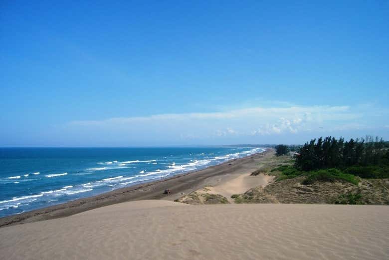 Imagen 7