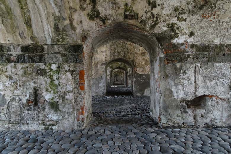 Imagen 4