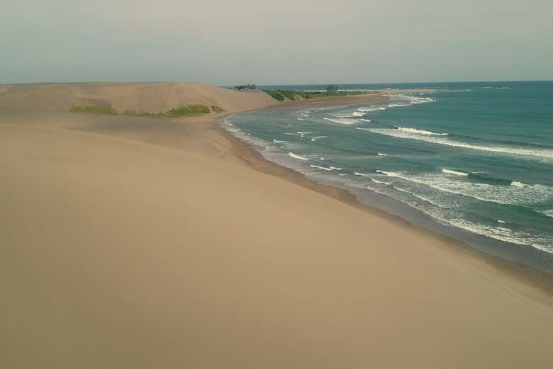 Imagen 8