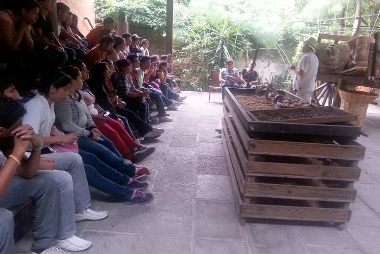 Imagen 5