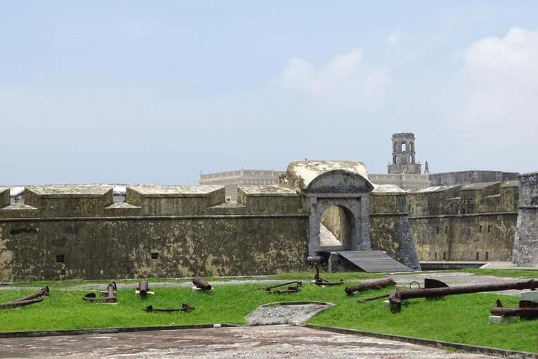 Imagen 6