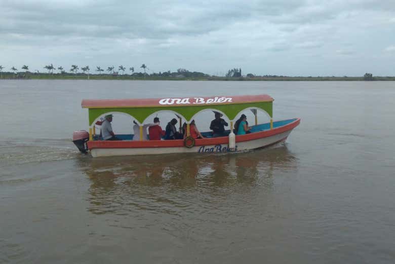 Imagen 4