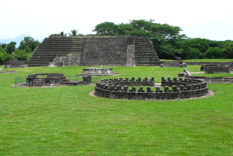Imagen 5