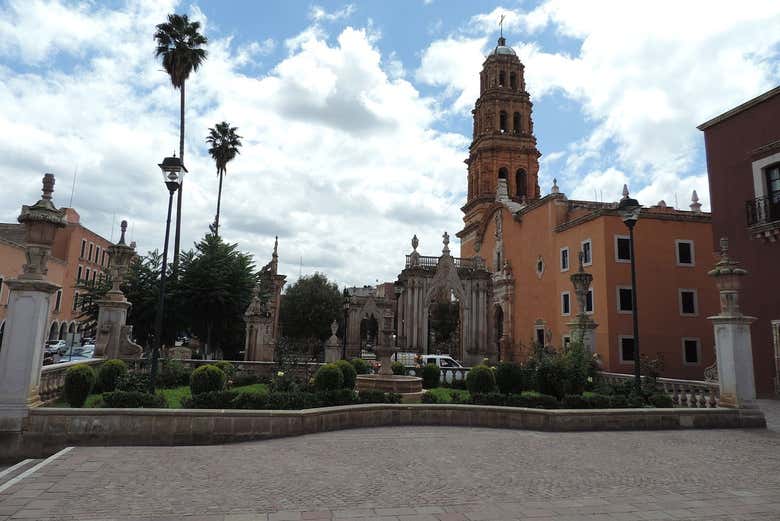 Imagen 5