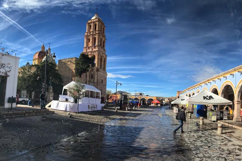 Imagen 8