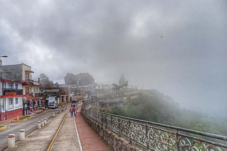 Imagen 14