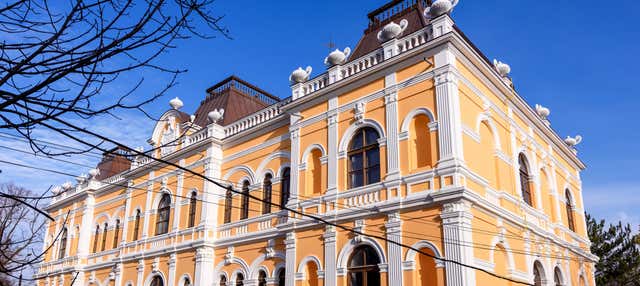 Escursione a Gagauzia e alla tenuta di Manuc Bey