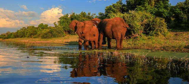 Safari privato nel parco nazionale Kruger