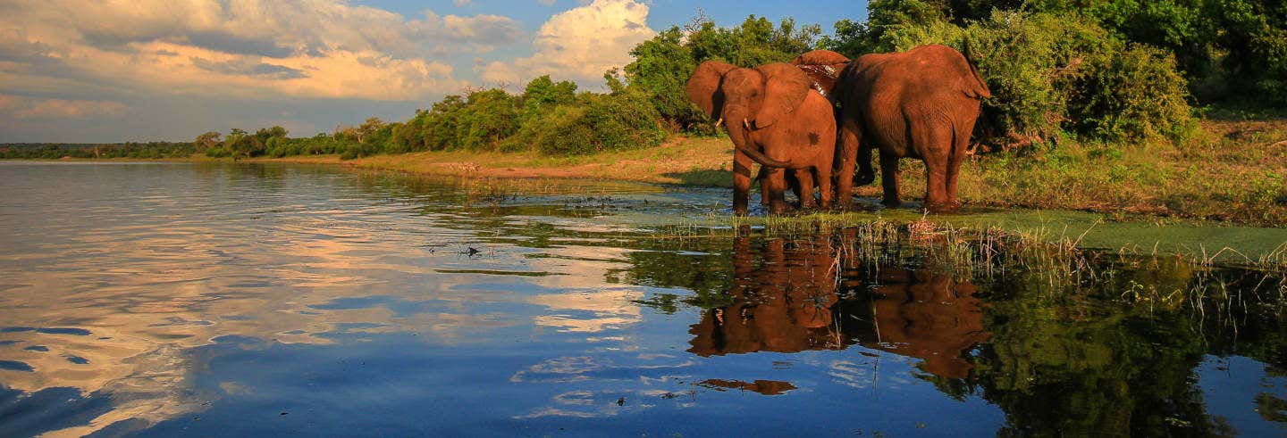 Safari privato nel parco nazionale Kruger