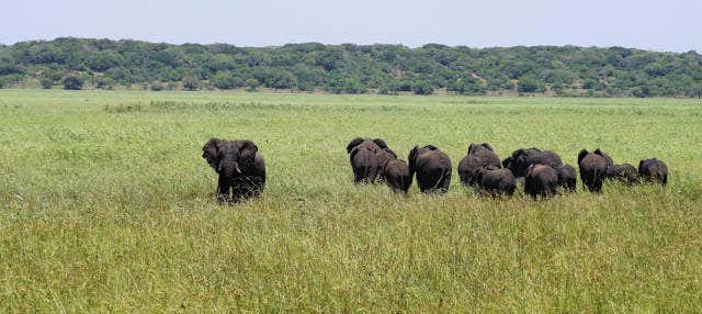 Safari privato nella Riserva Speciale di Maputo