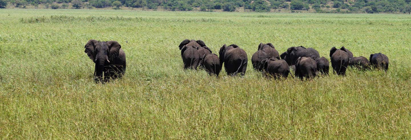 Safari privato nella Riserva Speciale di Maputo