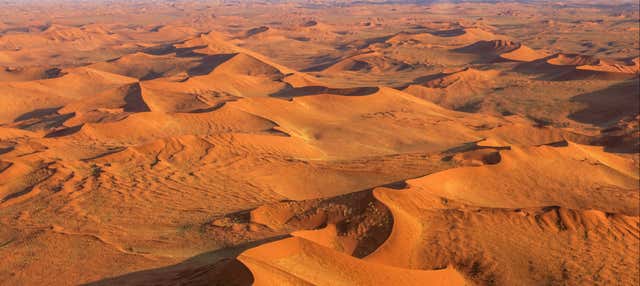 Tour del deserto del Namib