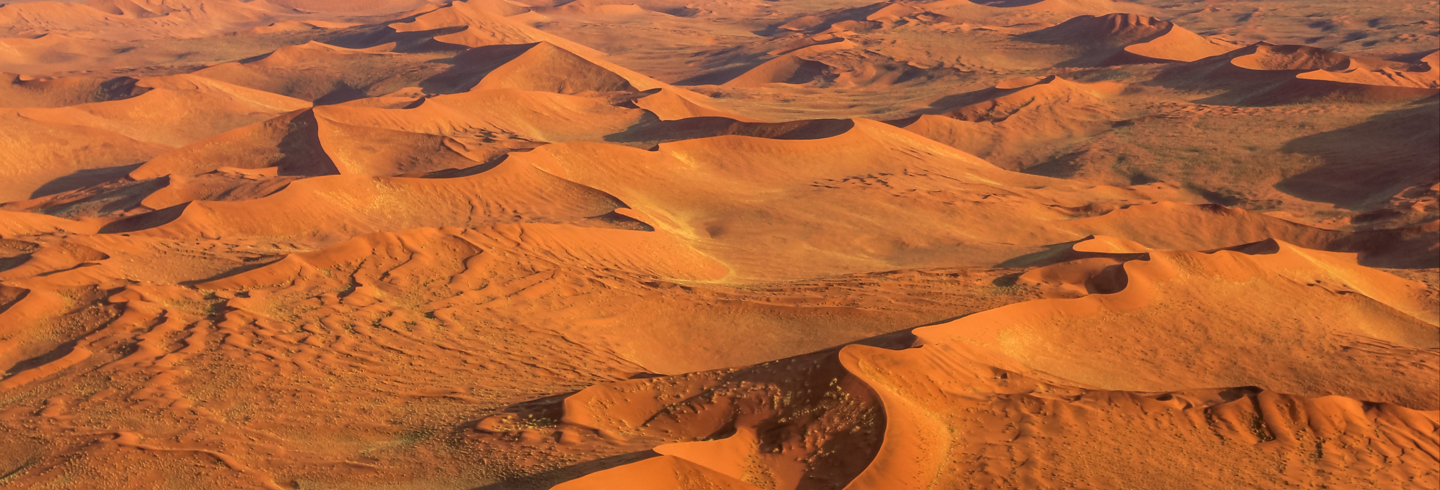 Namib Desert Tour