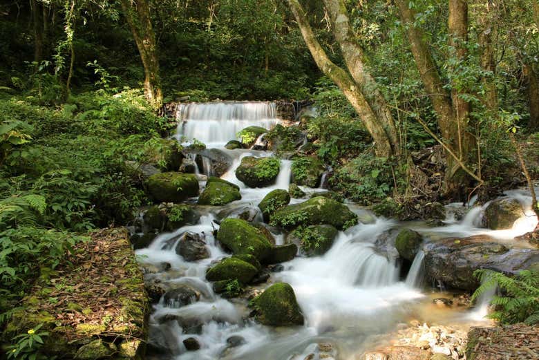 Imagen 4