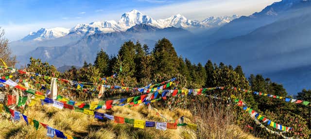 Ghorepani & Poon Hill Private Hike: 10 Days