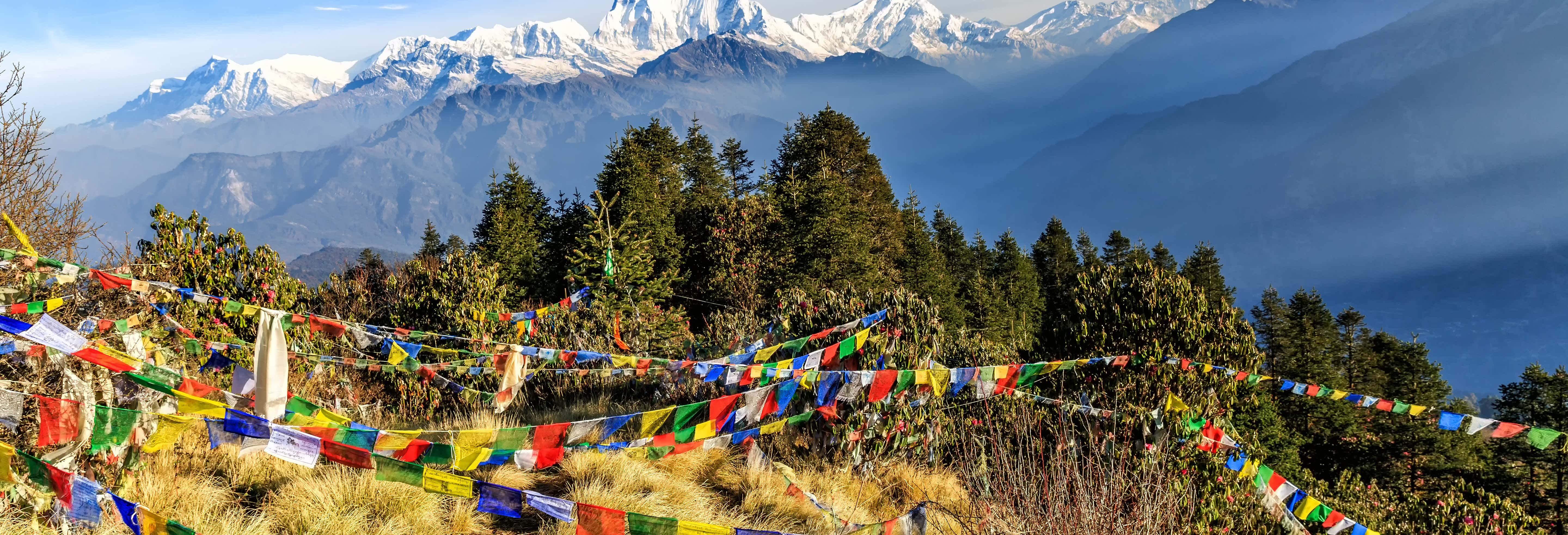 Ghorepani & Poon Hill Private Hike: 10 Days