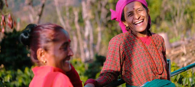 Escursione alle piantagioni di caffè di Sarangkot