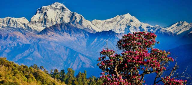 Trekking di tre giorni a Poon Hill e Ghorepani