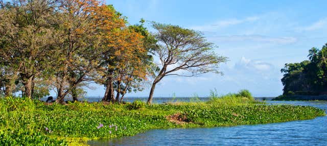 Excursion aux îles Zapatera et El Muerto