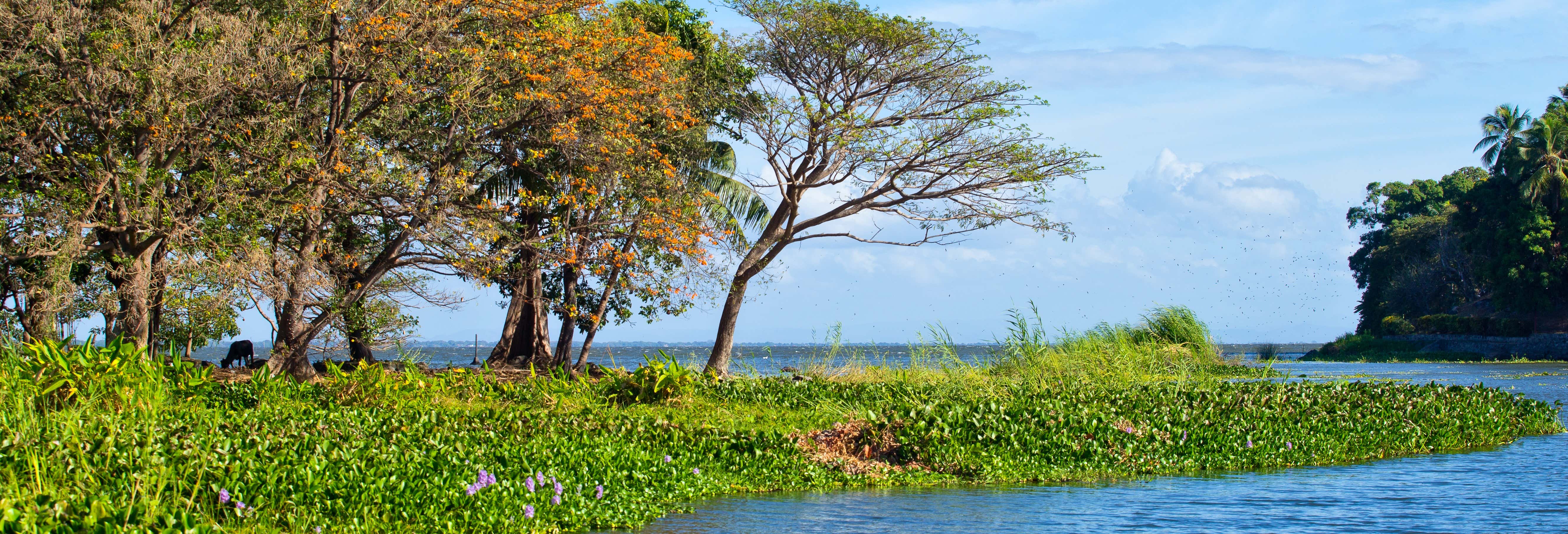 Escursione alle isole Zapatera ed El Muerto