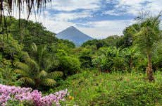Excursion to Ometepe Island