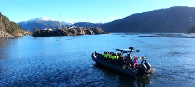 Giro in barca nel canale di Mostraumen e Osterfjord