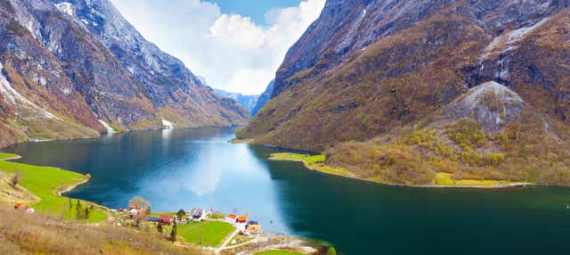 Excursión al fiordo de Nærøy, Flåm, Stegastein y Skjervsfossen