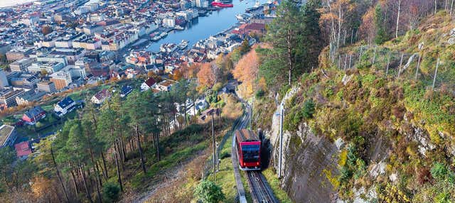 Trekking privato ai monti Fløyen e Rundemanen