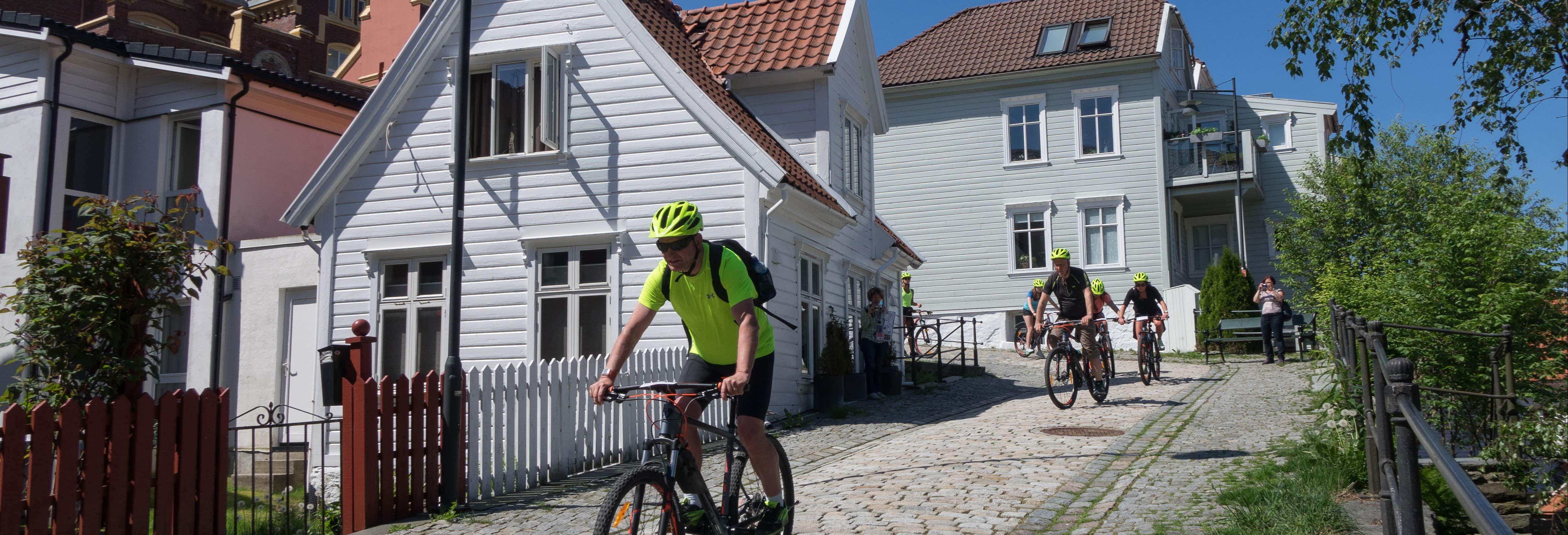 Bergen Electric Bike Tour