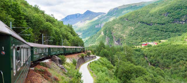 Tour dei fiordi norvegesi: Treno di Flåm e giro in barca a Nærøy