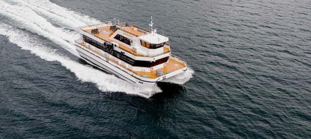 Giro in barca a Bodø