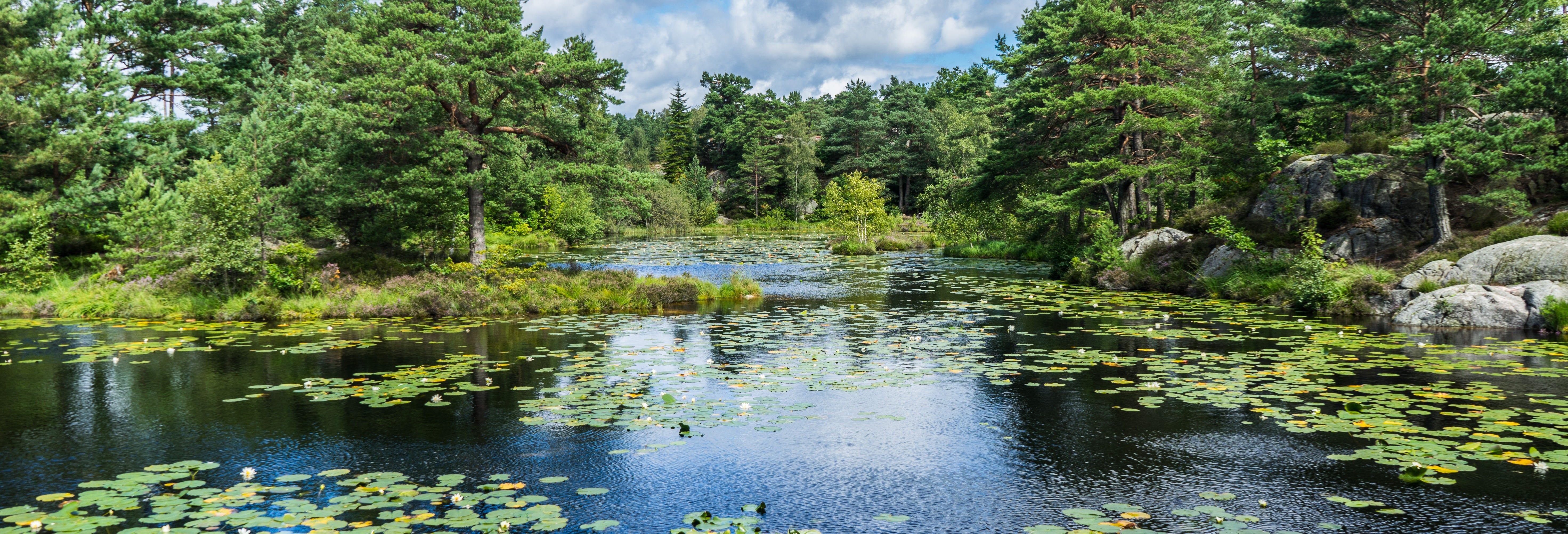 Ravnedalen Park Guided Tour