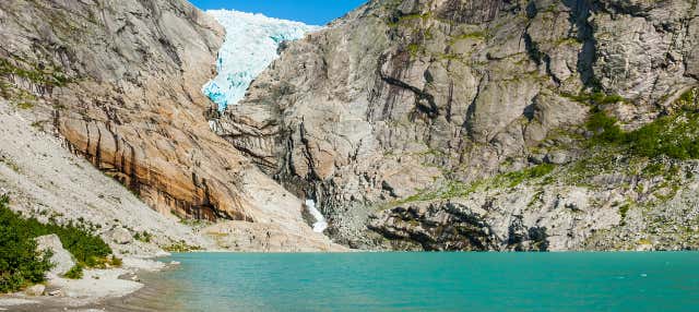 Excursión al glaciar Briksdal para cruceros