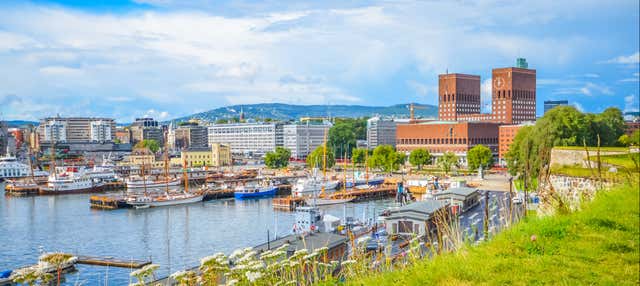 Crociera estiva sul fiordo di Oslo