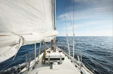Fjord Sightseeing Cruise
