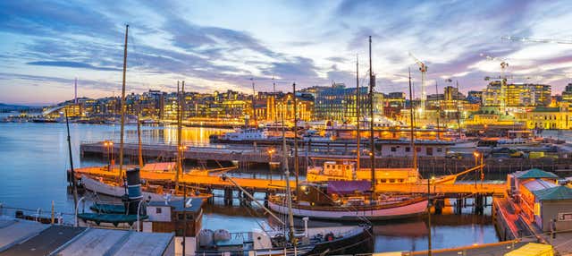 Tour privato di Oslo