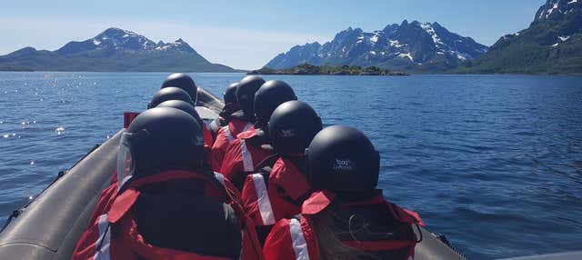 Birdwatching a Trollfjord