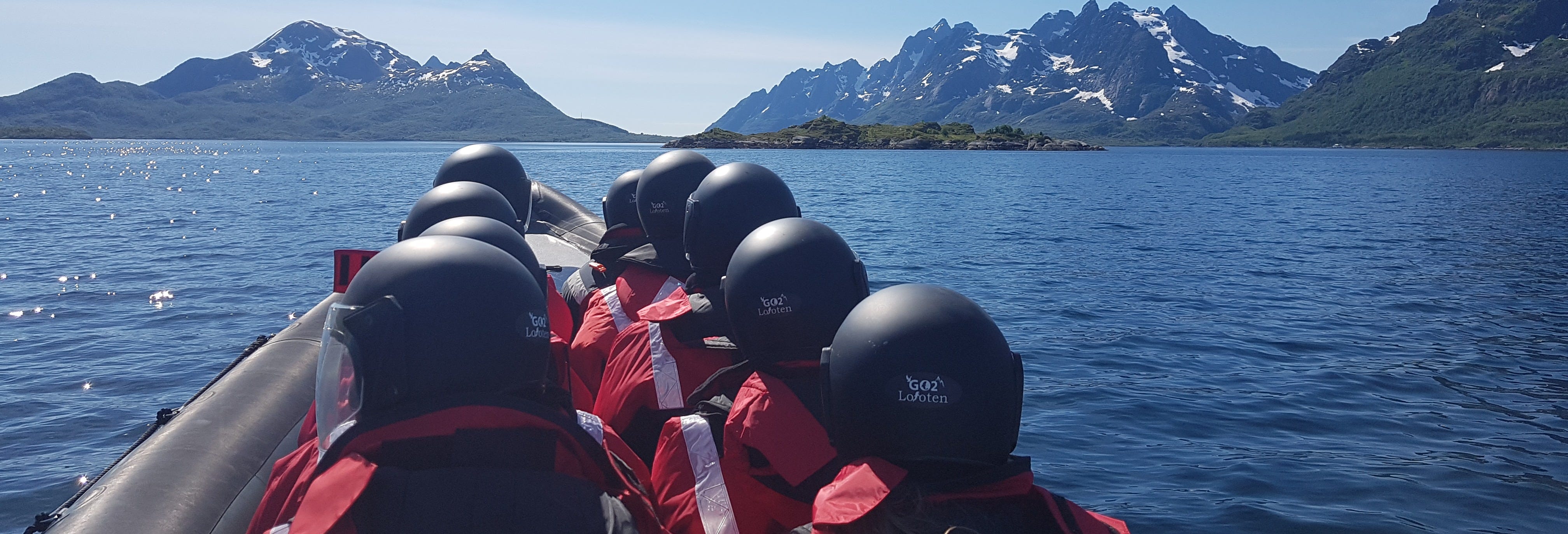 Trollfjord Bird Watching Experience