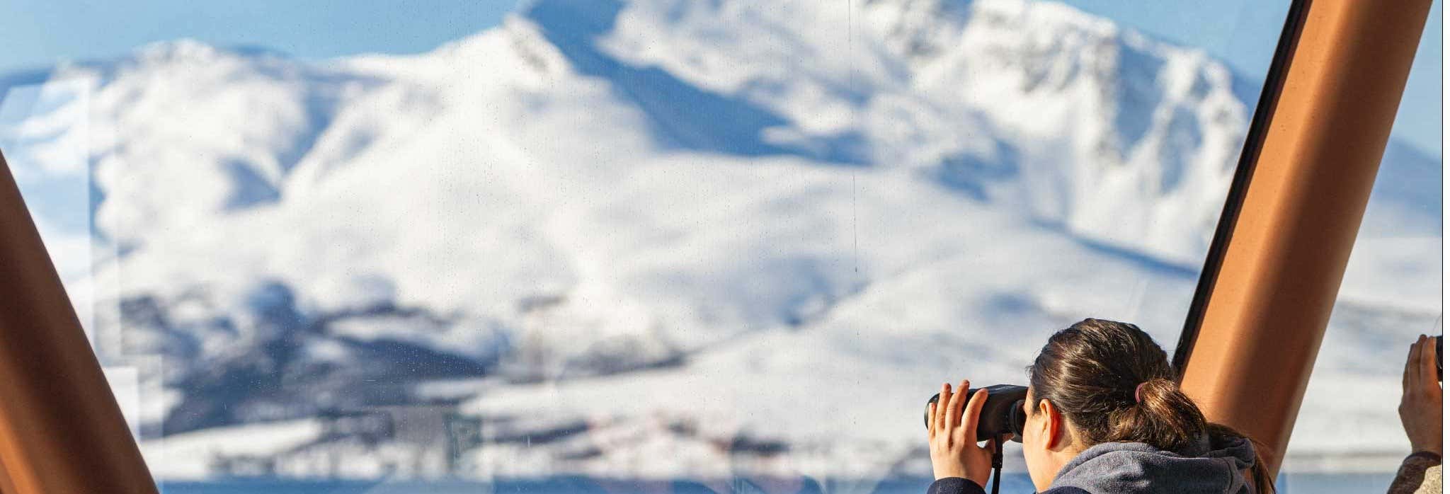 Crociera tra i fiordi artici