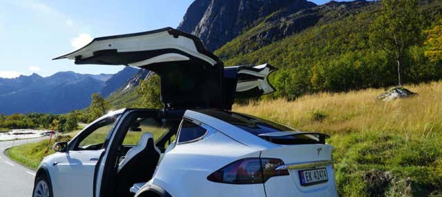 Tour panoramico dei fiordi norvegesi in Tesla