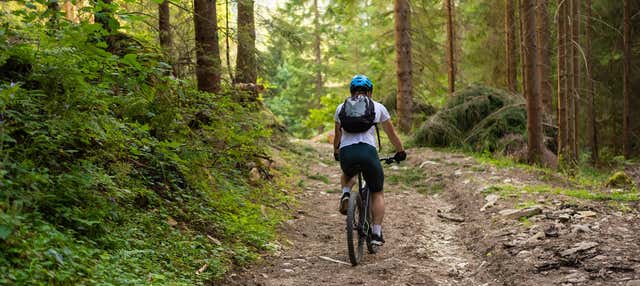 Tour della foresta di Voss in bici